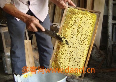 一箱蜂