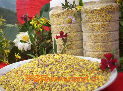 花粉喂蜜蜂