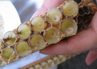 蜂蜜