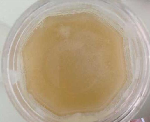 怎样引蜂入蜂箱
