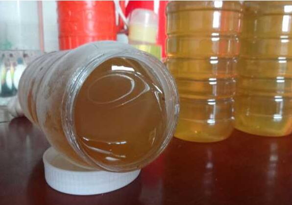 怎样引蜂入蜂箱